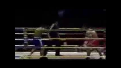 Best Of The Best Muay Thai Knockout Collection 