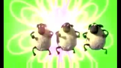 The Sheep