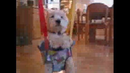 Куче на люлка