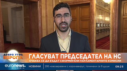 Депутатите гласуват председател и сформират комисии