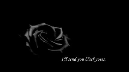 The Rasmus - Ten black roses lyrics + превод