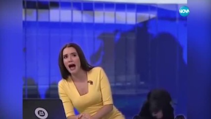 Куче изплаши водеща в руска телевизия
