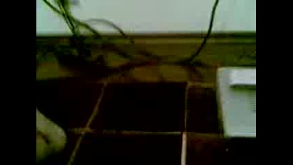 plazgane s tech deck