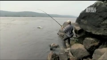 River Monsters 80 lb. Piranha 