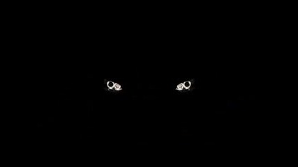 Bmw M3 Revolution