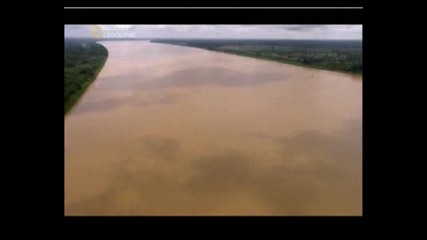 Най - Опасните Животни В Света - Амазония, Част 1.flv