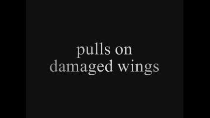 Eyes Set To Kill - Flight On Broken Wings(lyrics)