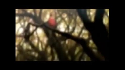 Sad Japanese Song
