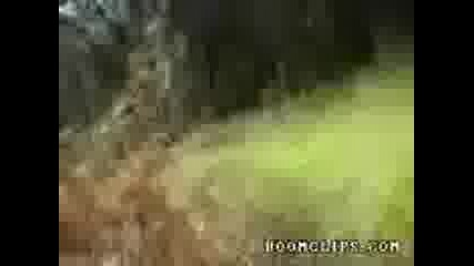 Това само блондинка може да го направи! 
