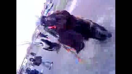 kukeri 2009