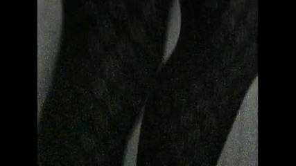 Guns N' Roses - Sweet Child O' Mine