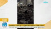 След Сирия и Турция: Кучето спасител Цунами спаси човешки животи изпод руините и във Венецуела
