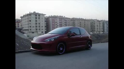 Tyrsko Peugeot 207 Sus Tuning