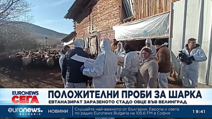 Министър Георги Тахов: Пробите са положителни, животните трябва да бъдат унищожени