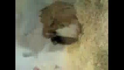 Ve090715003