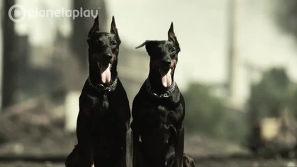 Галена - Не пред хората ( Х И Т 2011 )