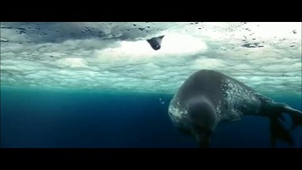 Oceans - Cold Swim 