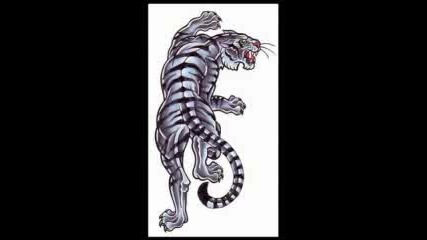 Tatoo - Dragons And Tigers