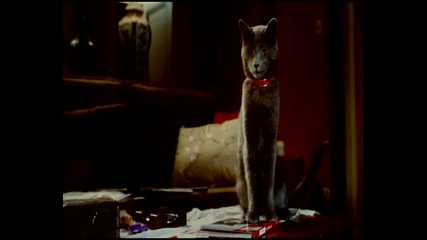 Котки и Кучета: Отмъщението на Кити Trailer Hq ( Bg Audio ) 