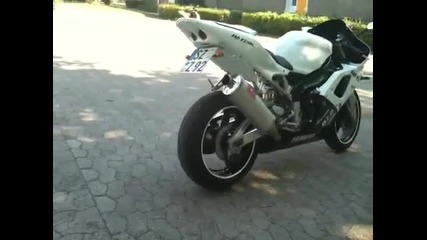 Yamaha R1 White Devil 