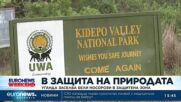 Уганда заселва бели носорози в защитен парк след години на бракониерство