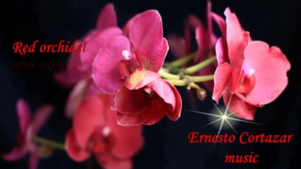 ... Червени орхидеи ... ( Ernesto Cortazar music) ...