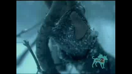 Afi - Love Like Winter