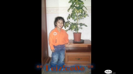 feizo