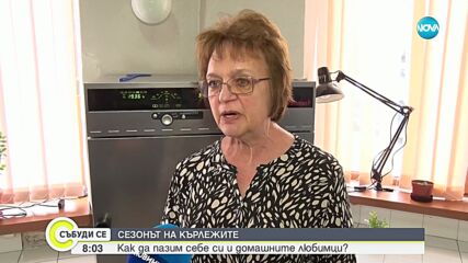В сезона на кърлежите: Как да пазим себе си и домашните любимци