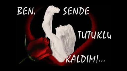 Gullu Acimiyorsan