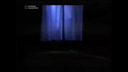 вярно ли е? извънземни Bg Audio 