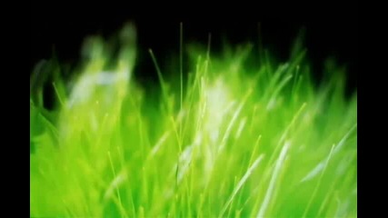 релакс медитация - Music