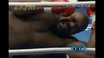 Mirko Cro Cop Highlight