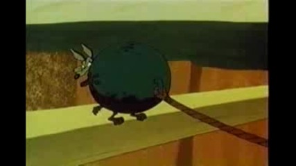 Road Runner Wile E Coyote - Zipping Along (1953)