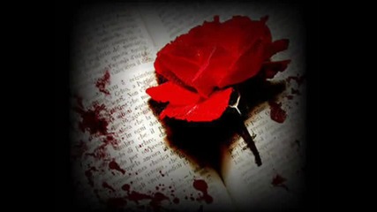 Volami nel cuore 