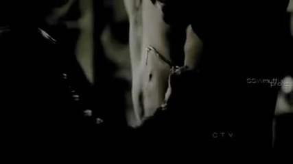 Damon ; Elena ; Stefan - Wonderful Life 
