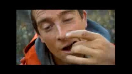 Bear Grylls