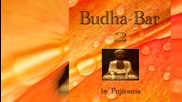 Yoga, Meditation and Relaxation - Zen Garden (Tropical Forest) - Budha Bar Vol. 2