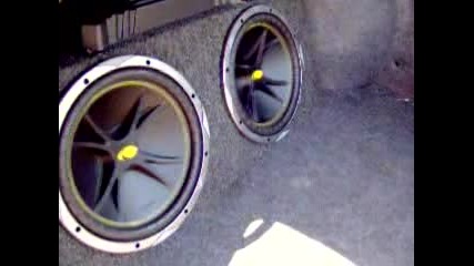 Bass