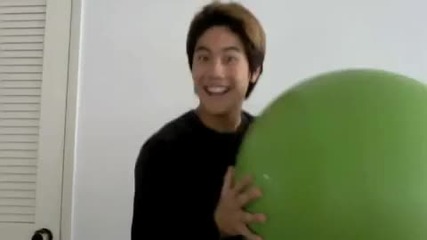 The Big Bouncing Inflatable Green Ball