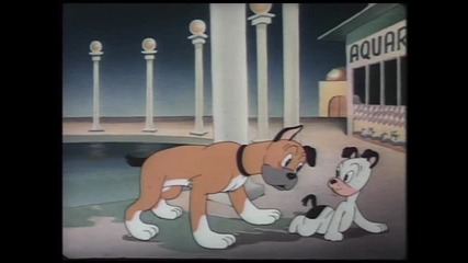Warner Bros - 123039 The Curious Puppy Mm Br 