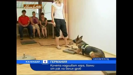 Кучета надушват Хора, болни от Рак на белия дроб
