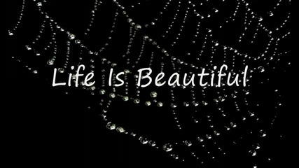 (превод) Sixx: a.m. - Life is beautiful [lyrics] .. животът е хубав ..