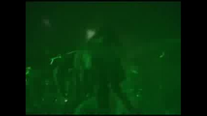 Trepalium - Necropolis