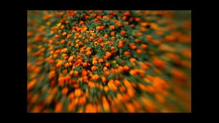 (2012) Let's Go Project - Yeke Yeke