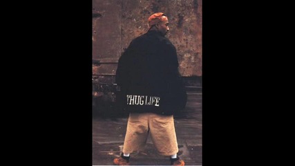 2pac - Thug Life (original)