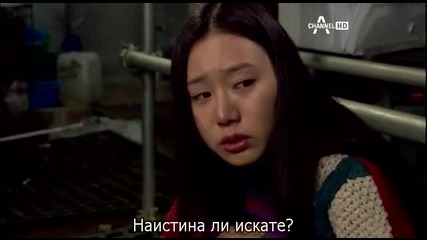 Bachelor Veg Store/зеленчуков магазин 10 3/3