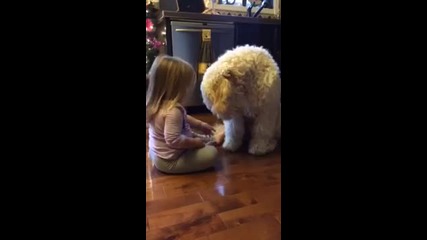 Малко момиченце учи домашния си любимец да дава лапа :)