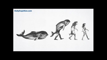 Еволюцията 