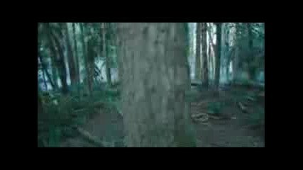Twilight